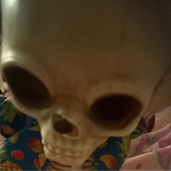 mrsvandenheede